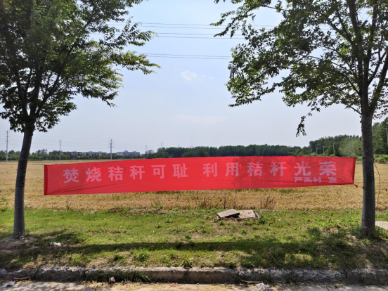 5a2f92840a214c521e0a752895fe818.png